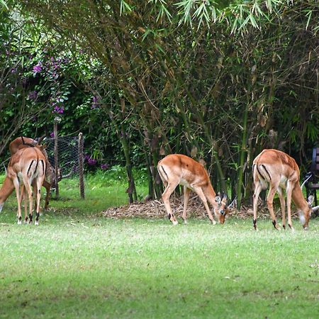 Отель Lukenya Getaway Athi River Экстерьер фото