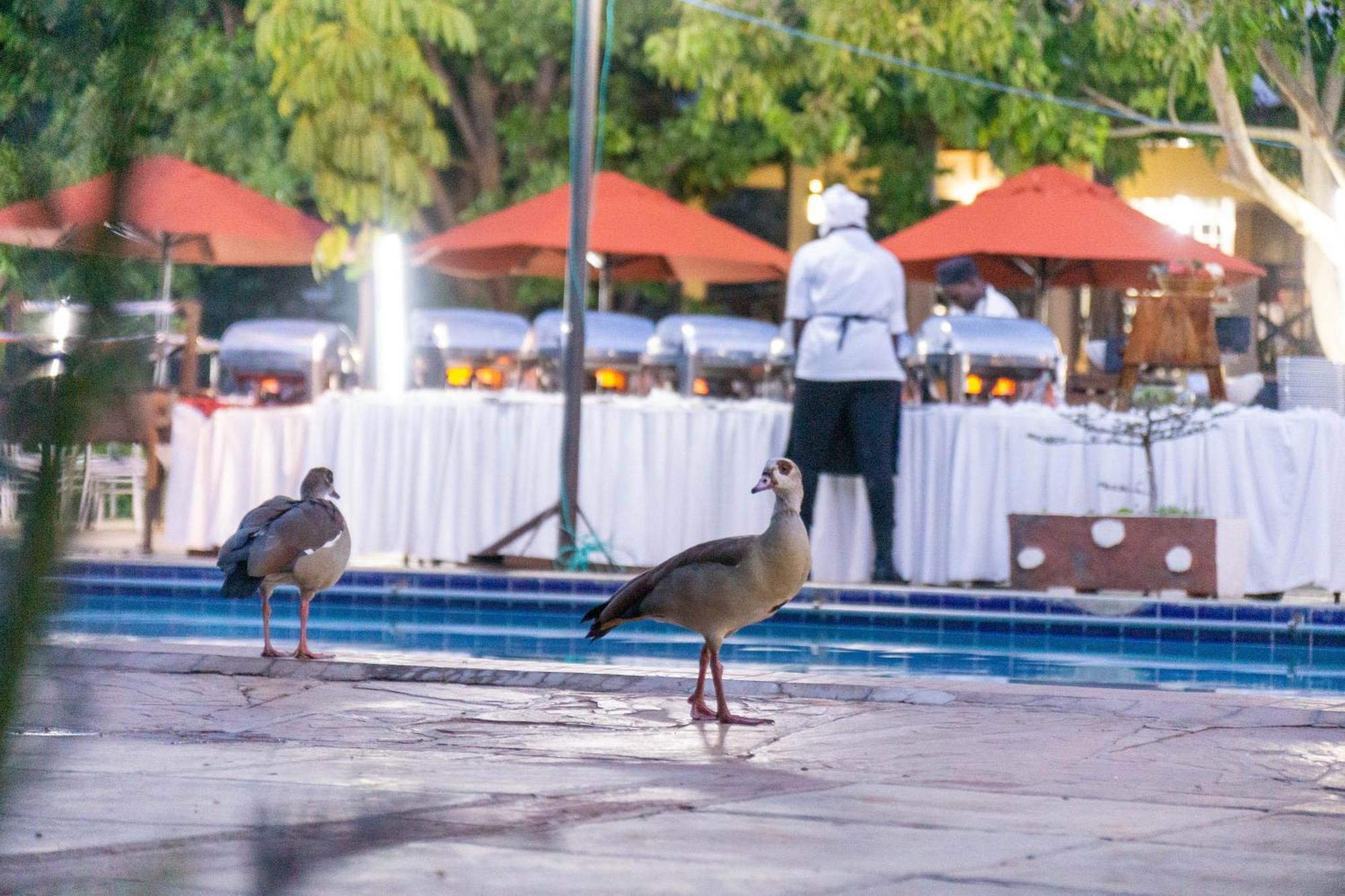 Отель Lukenya Getaway Athi River Экстерьер фото