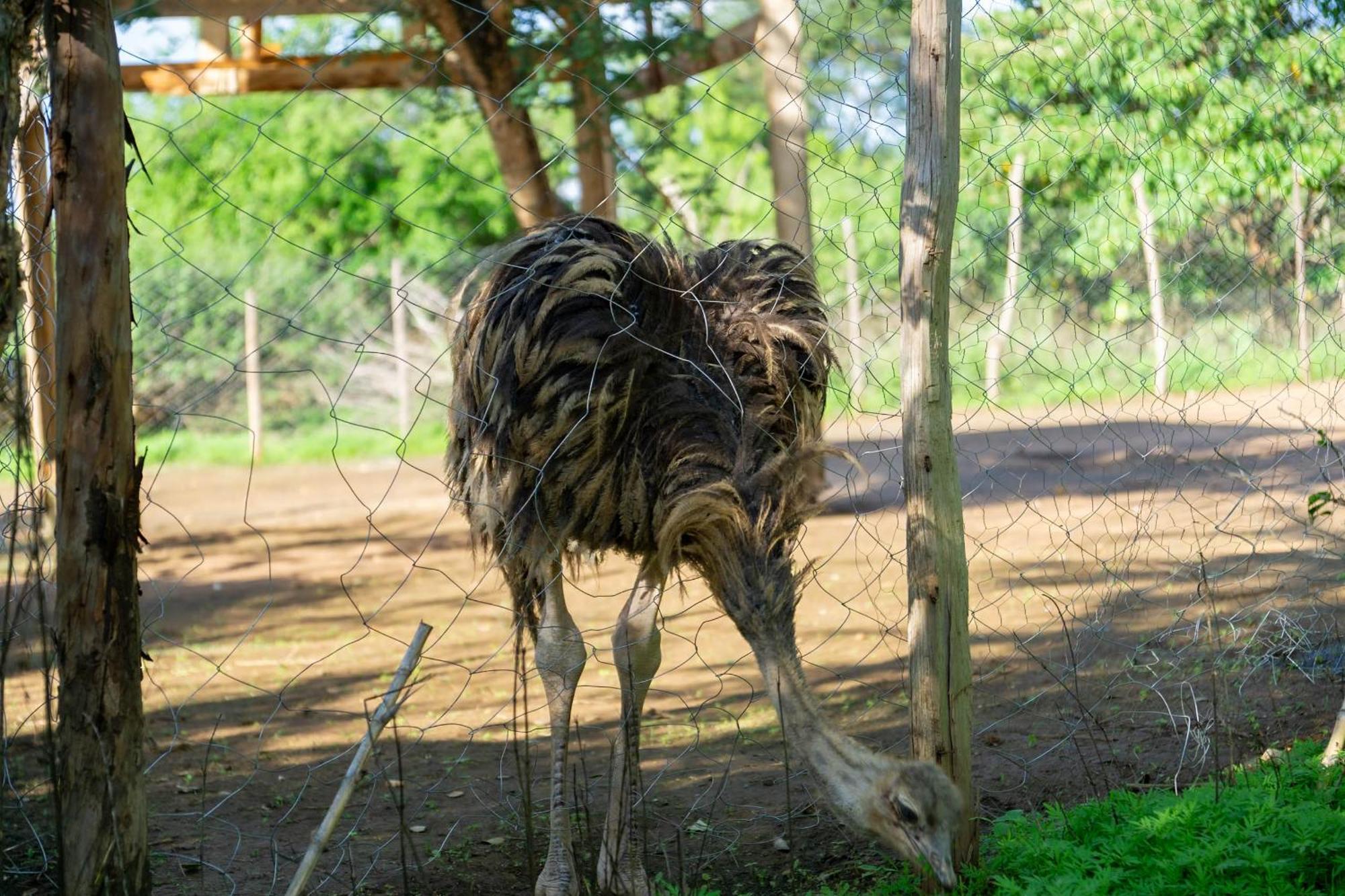 Отель Lukenya Getaway Athi River Экстерьер фото