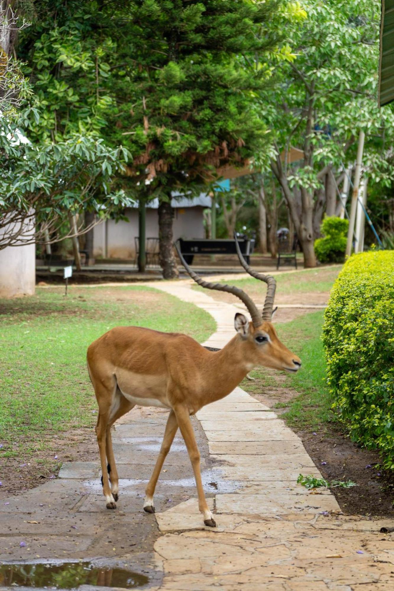 Отель Lukenya Getaway Athi River Экстерьер фото